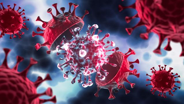 COVİD-19 (Korona Virüs) İLE MÜCADELE